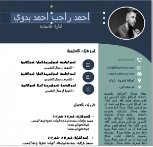 كيف تكتب سيرة ذاتية احترافية بسهولة